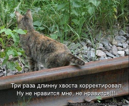 4743317_n8 (500x411, 58Kb)