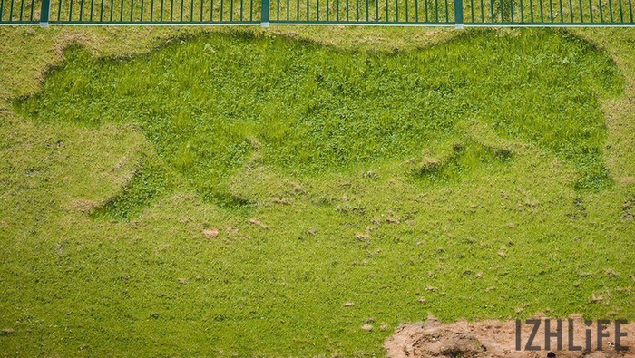 Бухарин2 (700x395, 414Kb)