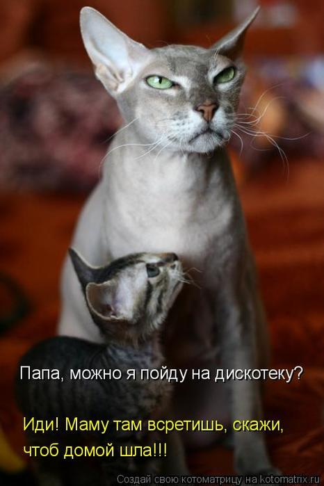 4743317_tnshz (466x700, 38Kb)