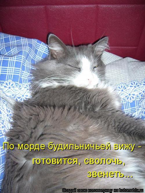 4743317_z (500x667, 70Kb)