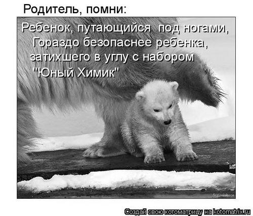 4743317_4C (500x428, 43Kb)