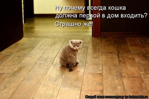 4743317_9t (500x333, 26Kb)
