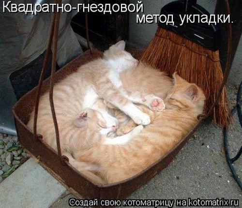 4743317_AA (500x430, 43Kb)