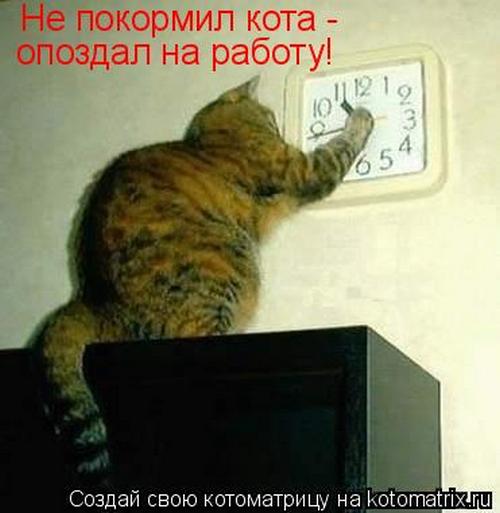 4743317_fA (500x513, 30Kb)