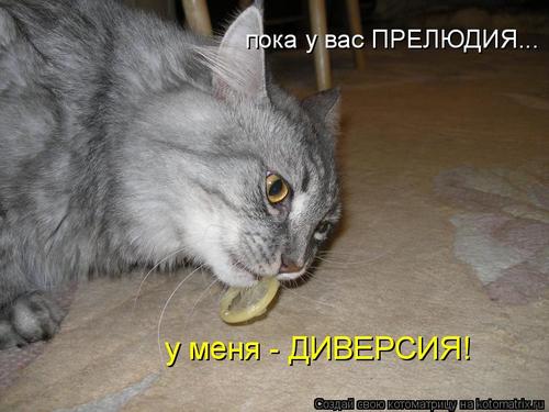 4743317_Gc (500x375, 32Kb)