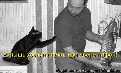 4743317_hH3 (500x303, 30Kb)