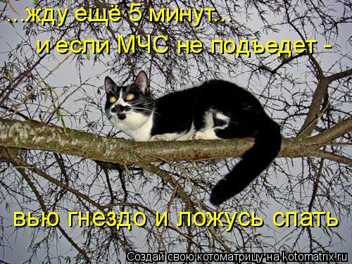 4743317_hp (500x375, 72Kb)
