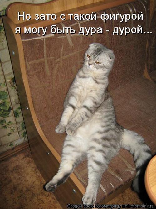 4743317_hu (500x667, 55Kb)