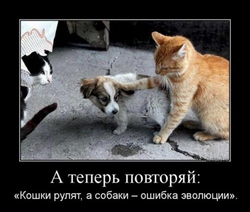 4743317_image (500x425, 41Kb)