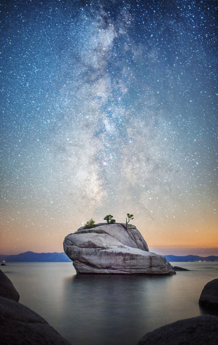 Bonsai+Rock+Milky+Way (442x700, 363Kb)