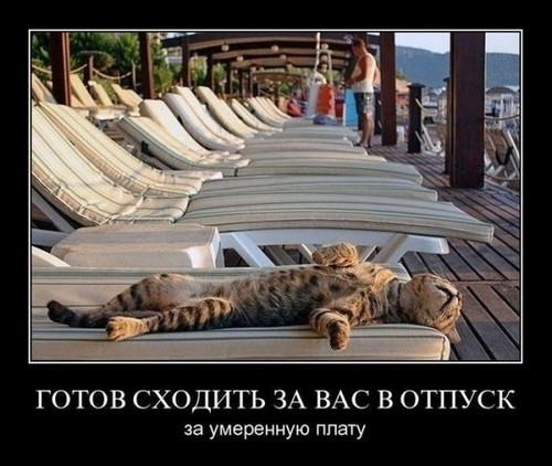 4743317_imagey (500x422, 59Kb)