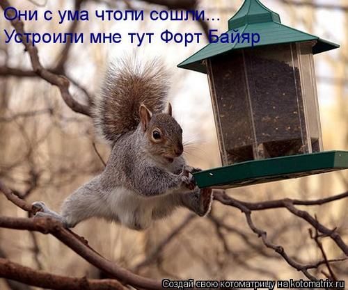 4743317_n3 (500x417, 41Kb)