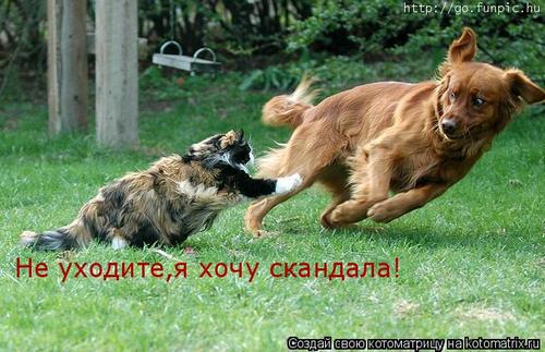 4743317_NM (500x323, 42Kb)