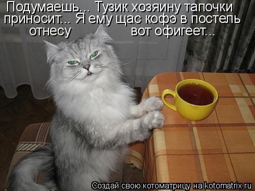4743317_O (500x374, 36Kb)