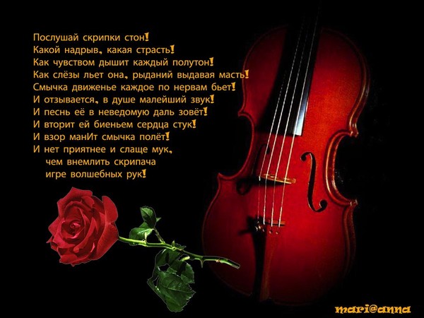 Музыка скрипки стихи. Стих про скрипку. Стихотворение о скрипке. Красивое стихотворение о скрипке. Красивые стихи про скрипку.