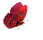 0_aa3d5_d0f10b52_orig (150x141, 118Kb)