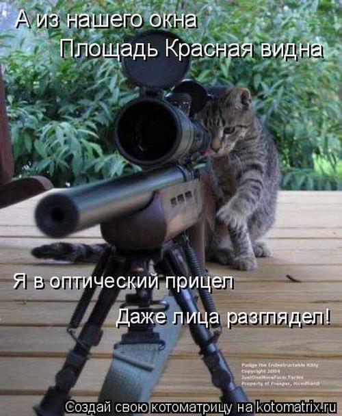 4743317_Pw (500x608, 59Kb)