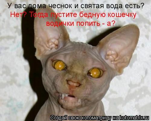 4743317_Tk (500x400, 31Kb)