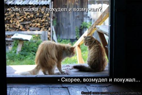 4743317_vJ (500x333, 31Kb)