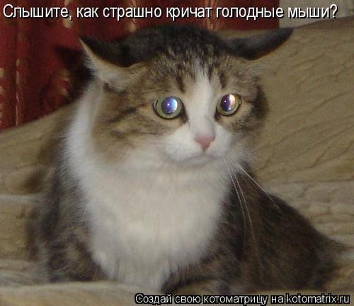 4743317_w9 (500x432, 29Kb)