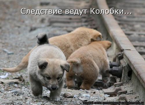 4743317__n (500x360, 31Kb)