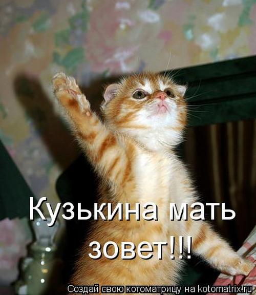 4743317_6y (500x576, 41Kb)