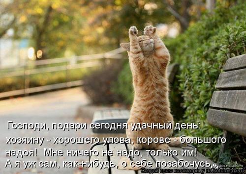 4743317_8O (500x355, 39Kb)