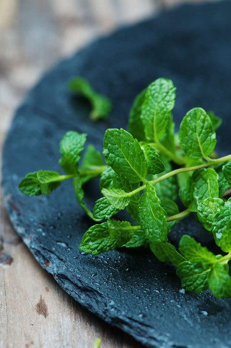 fresh mint (465x700, 354Kb)