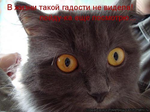 4743317_c_5 (500x375, 30Kb)