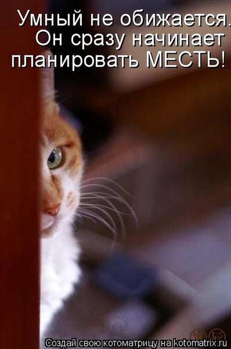4743317_Dh (464x700, 35Kb)