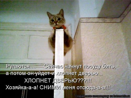 4743317_h2 (500x375, 31Kb)