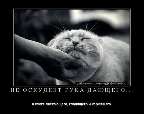 4743317_KN (500x397, 24Kb)