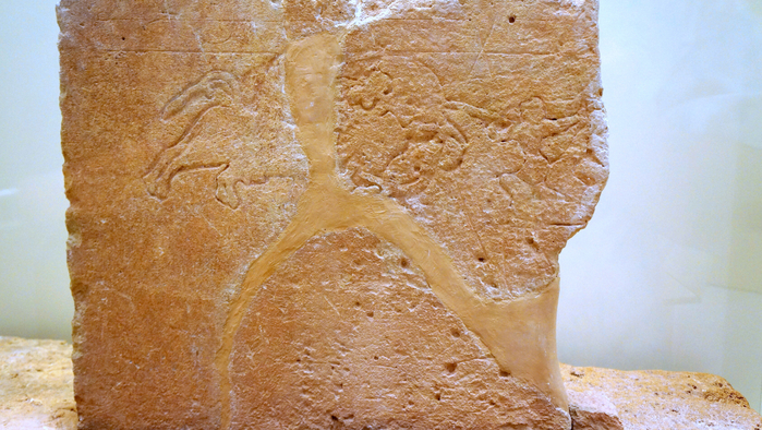 DSC03791 (700x394, 456Kb)