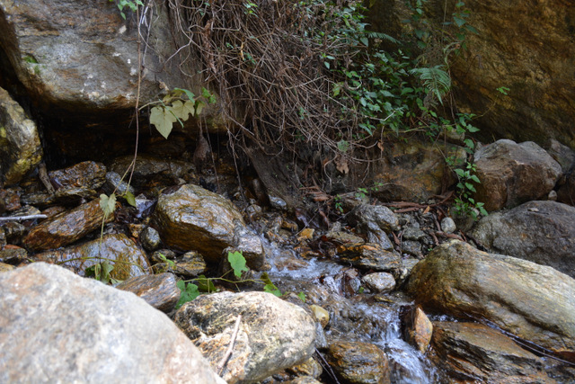 DSC_0092 (640x427, 309Kb)
