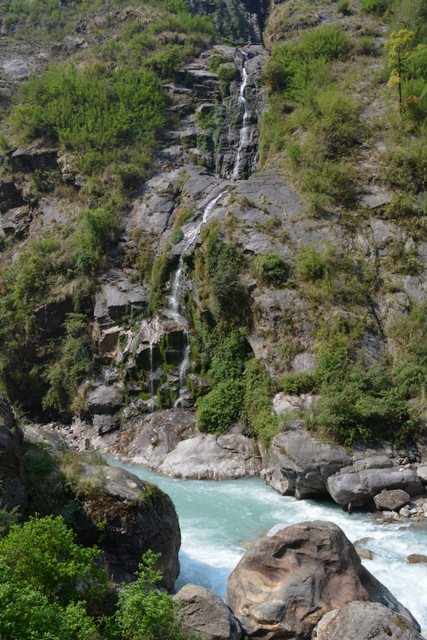 DSC_0288 (427x640, 301Kb)