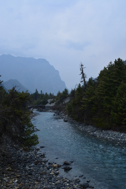 DSC_0519 (427x640, 176Kb)