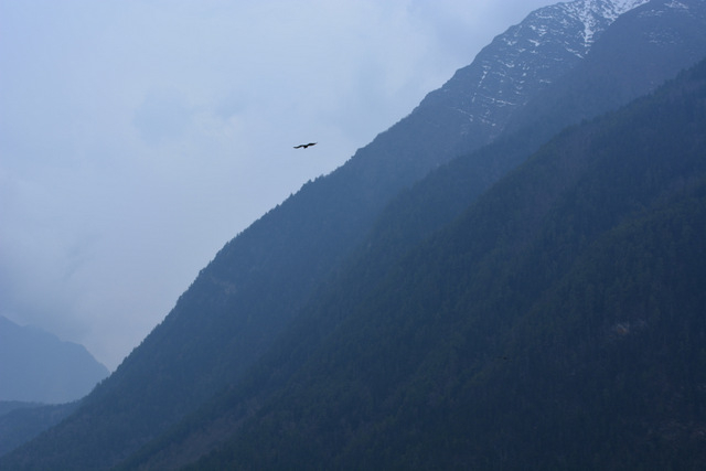 DSC_0540 (640x427, 104Kb)