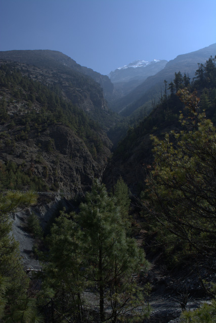 DSC_0587 (427x640, 195Kb)