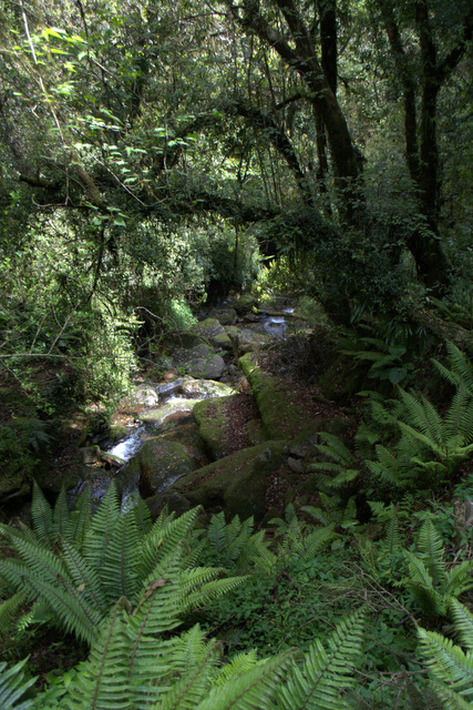 DSC_1024 (427x640, 350Kb)