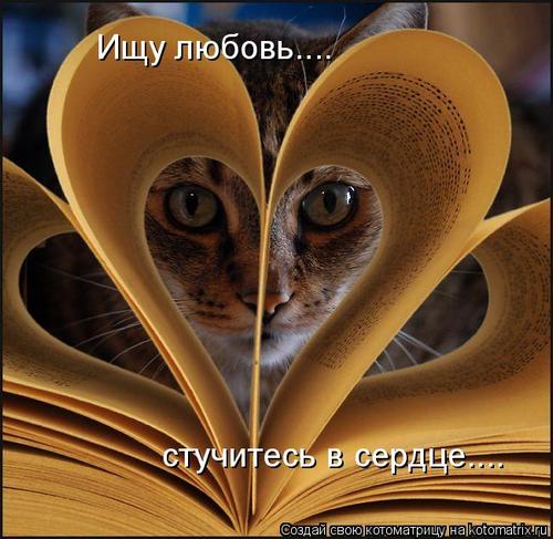 4743317_pU (500x487, 46Kb)