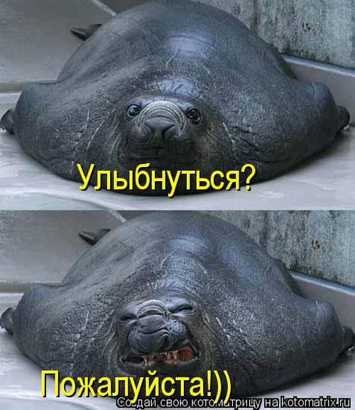 4743317_S (500x577, 54Kb)