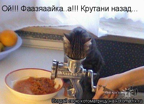 4743317_ub (500x361, 35Kb)