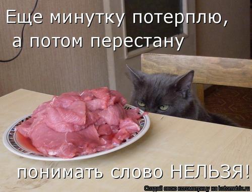 4743317_v4 (500x381, 32Kb)