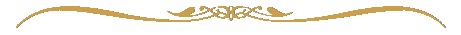 0_62b21_ec275186_XXL (461x35, 5Kb)