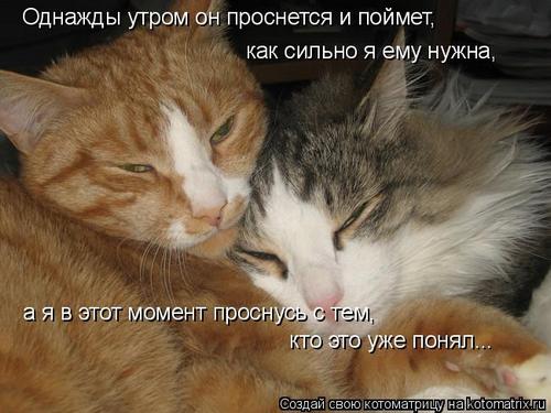 4743317_wf (500x375, 37Kb)