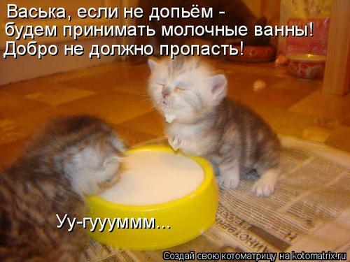 4743317_WT (500x375, 34Kb)