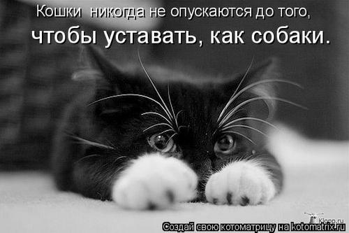 4743317_Xrt (500x333, 27Kb)