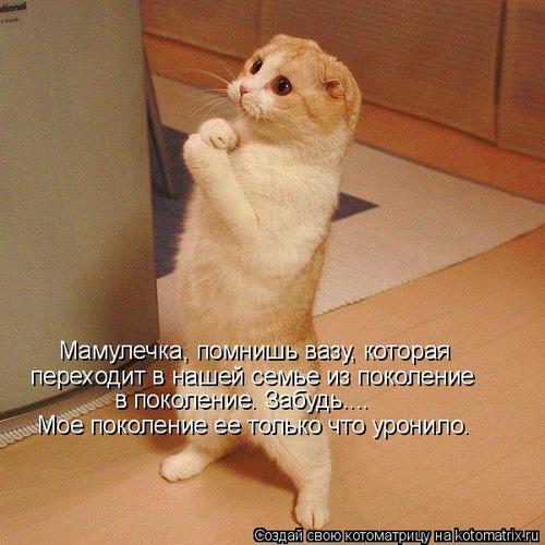 4743317_yW (500x500, 42Kb)