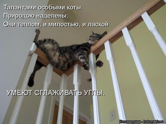 kotomatritsa_E (700x524, 255Kb)