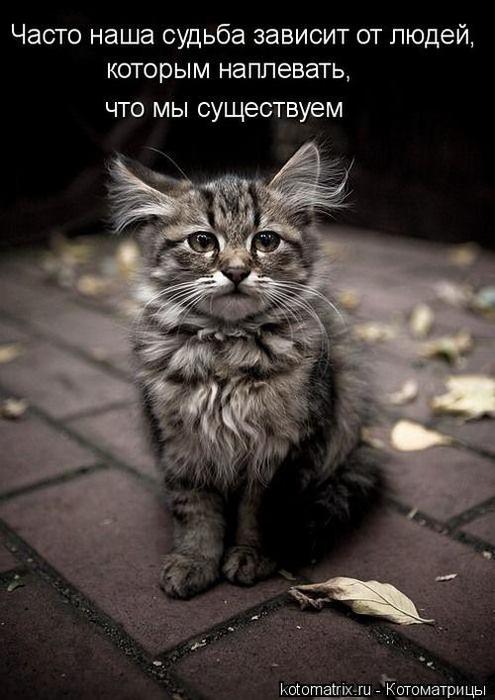 4743317__g (495x700, 52Kb)